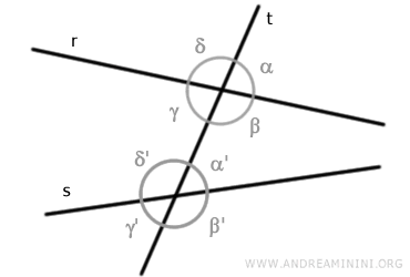 Conjugate Angles - Andrea Minini