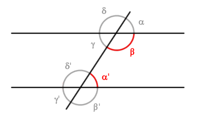 Conjugate Angles - Andrea Minini