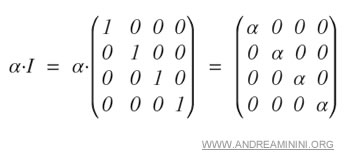 Scalar Matrix - Andrea Minini