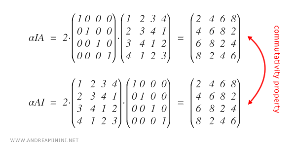 Scalar Matrix Andrea Minini 3011